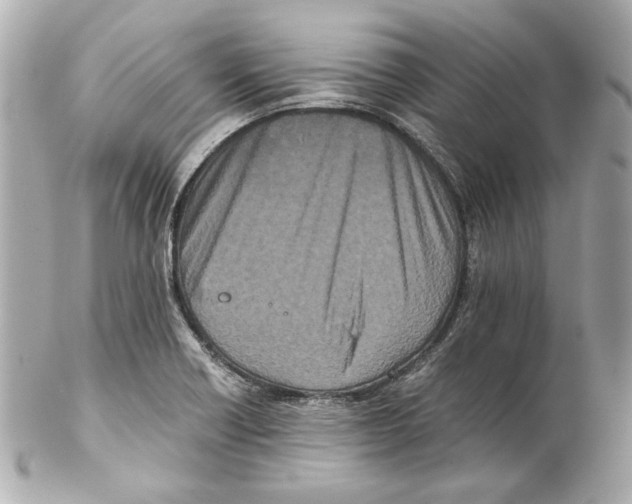 X0000102031418200808151330