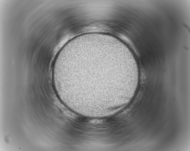 X0000102031419200808151330