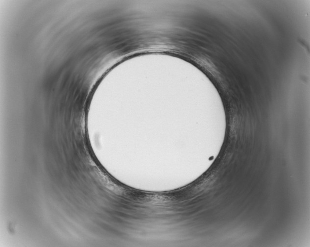 X0000102031420200808151330