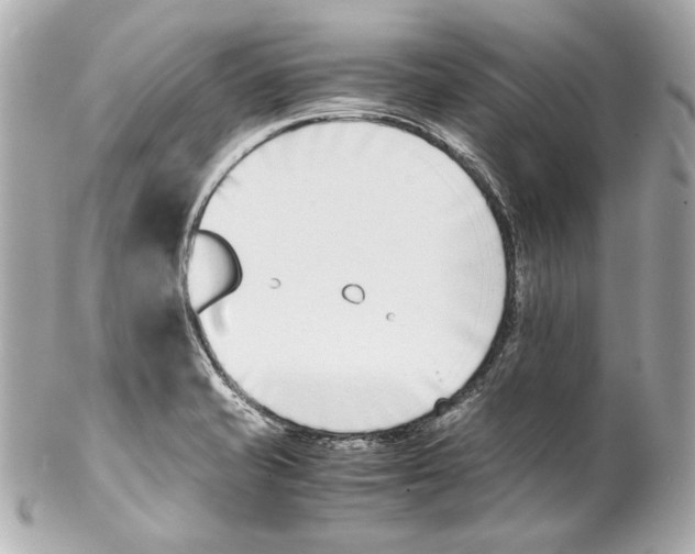 X0000102031421200808151330