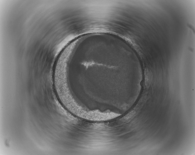 X0000102031422200808151330