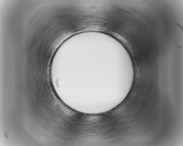 X0000102031423200808151330