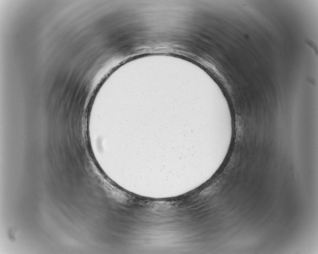 X0000102031424200808151330