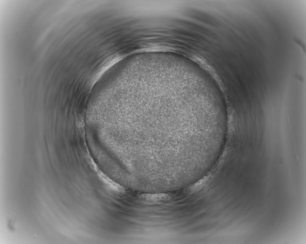 X0000102031425200808151330