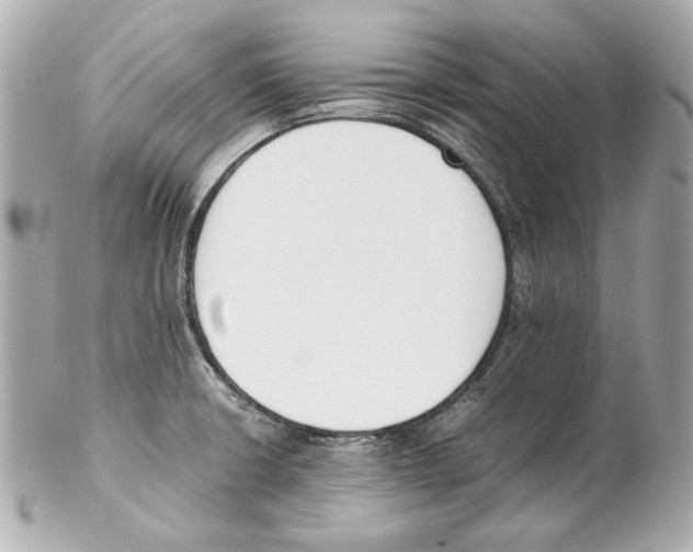 X0000102031426200808151330