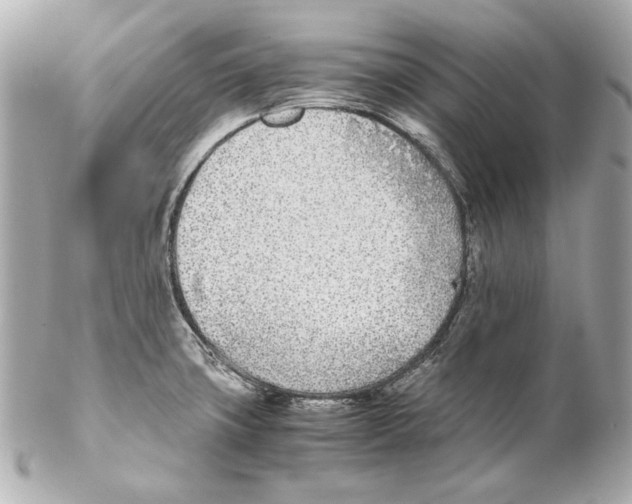 X0000102031427200808151330