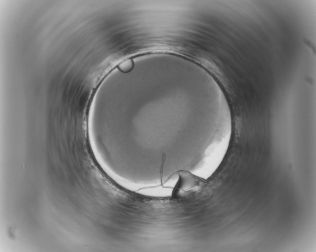 X0000102031428200808151330