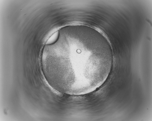 X0000102031429200808151330