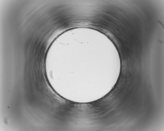 X0000102031432200808151330