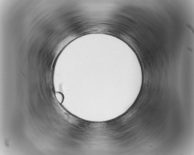 X0000102031434200808151330