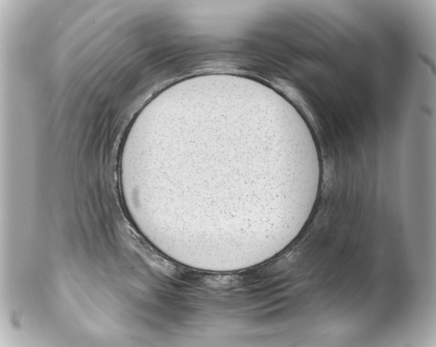 X0000102031435200808151330