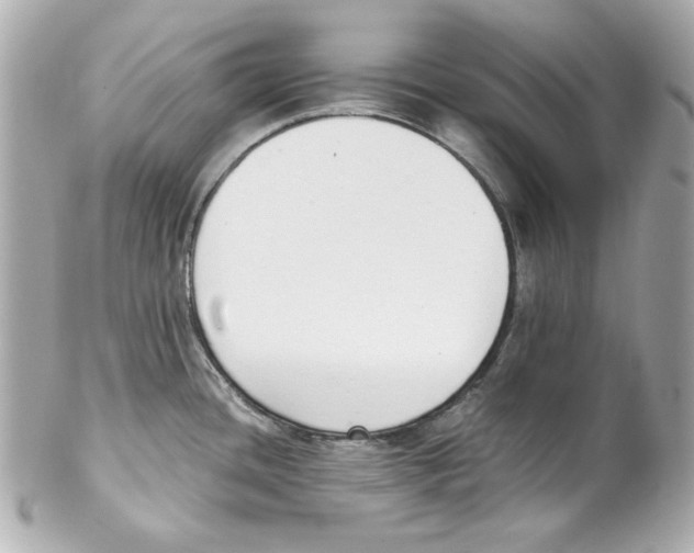 X0000102031436200808151330