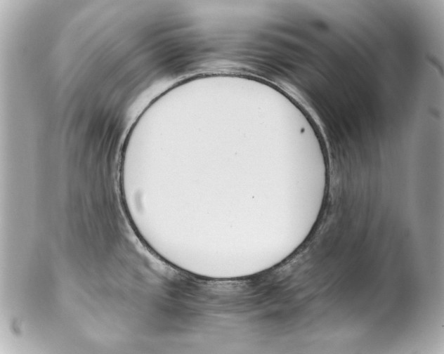 X0000102031437200808151330