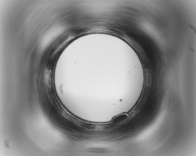 X0000102031438200808151330