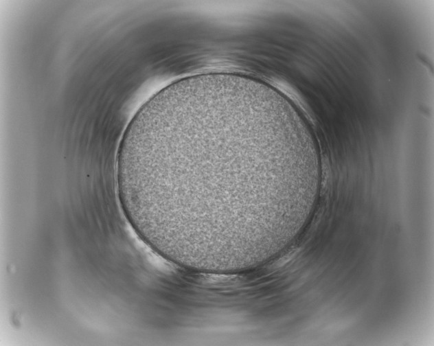 X0000102031439200808151330