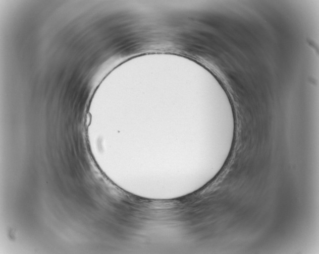 X0000102031440200808151330