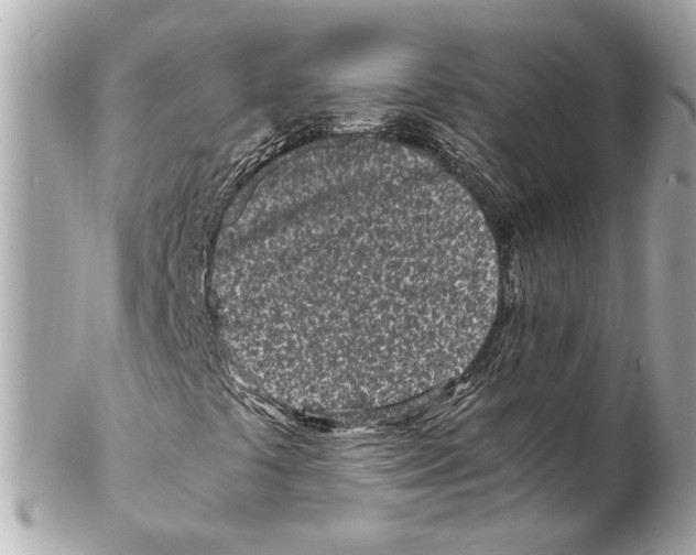 X0000102031441200808151329