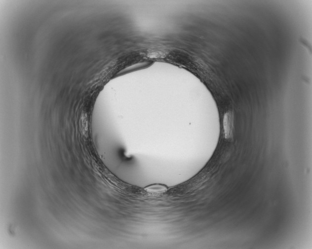 X0000102031443200808151329