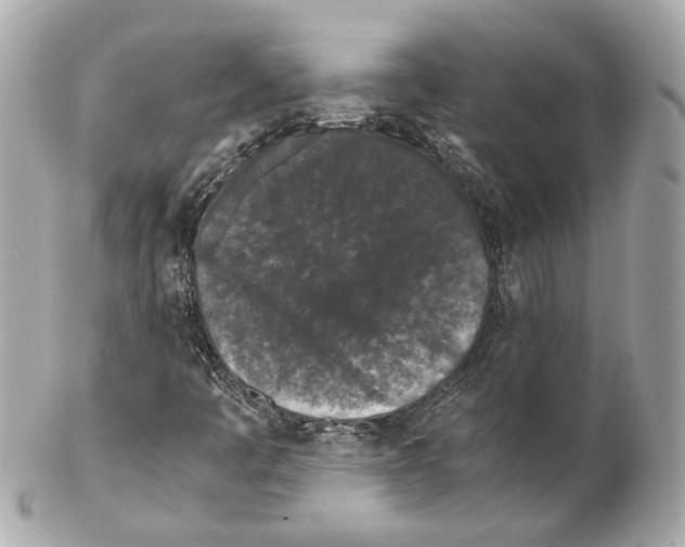 X0000102031445200808151329