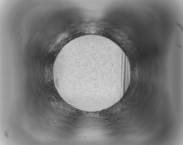 X0000102031446200808151329