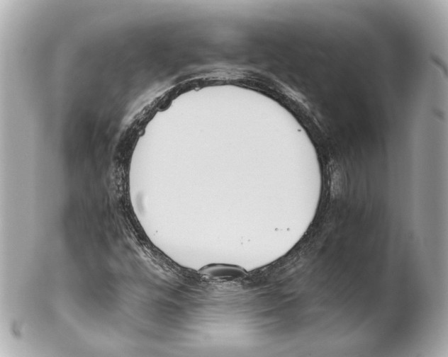 X0000102031448200808151329