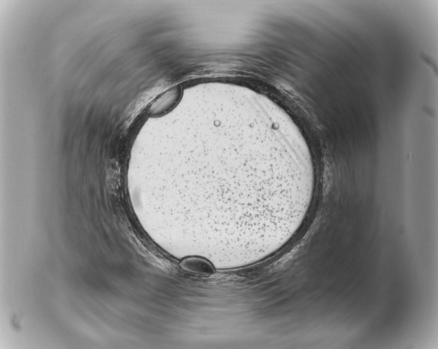 X0000102031449200808151329