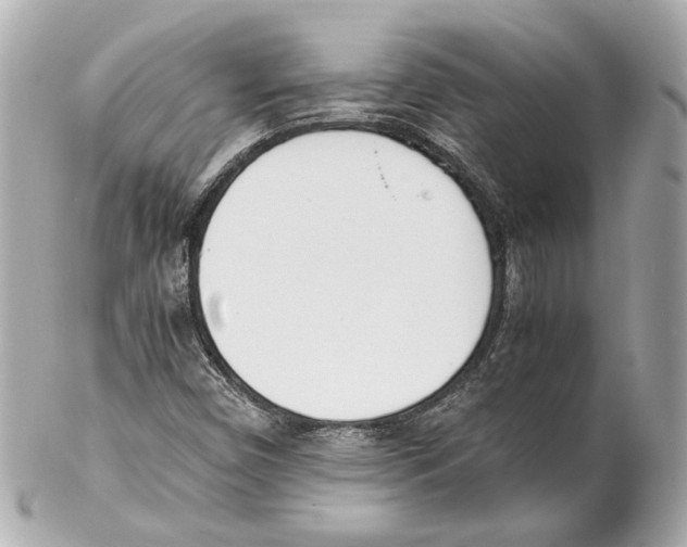 X0000102031450200808151329