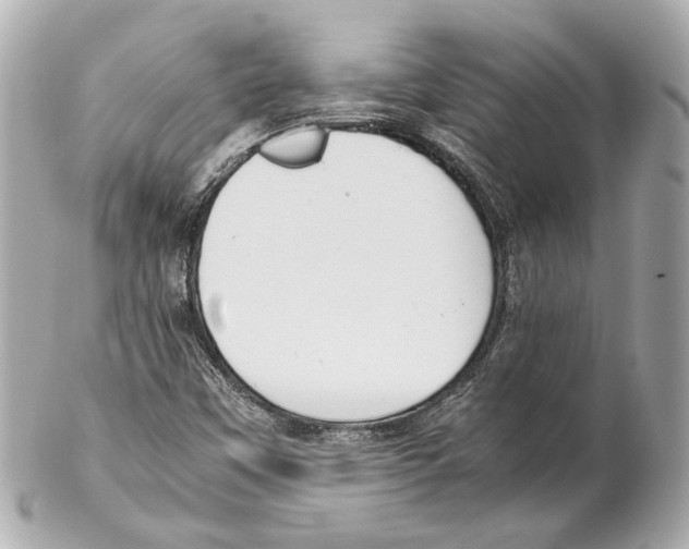 X0000102031451200808151329