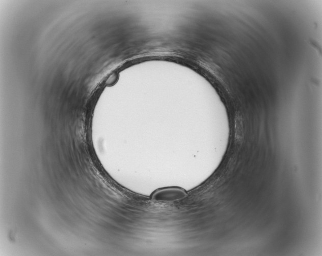 X0000102031452200808151329