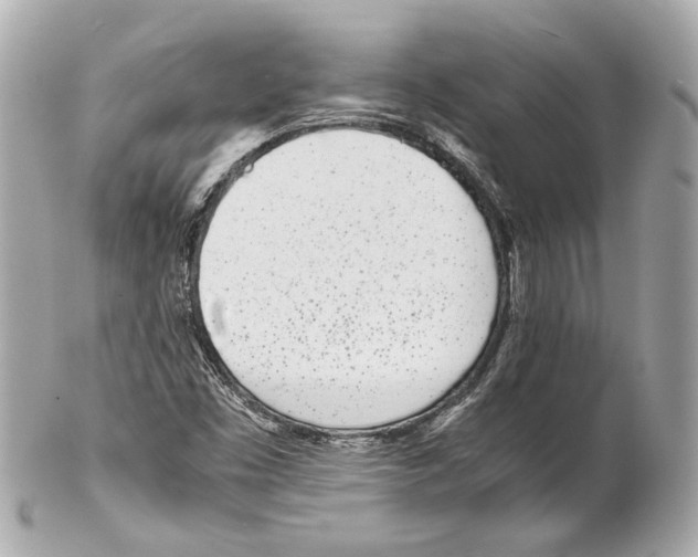 X0000102031453200808151329