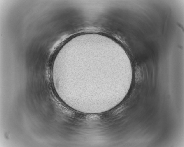 X0000102031454200808151329