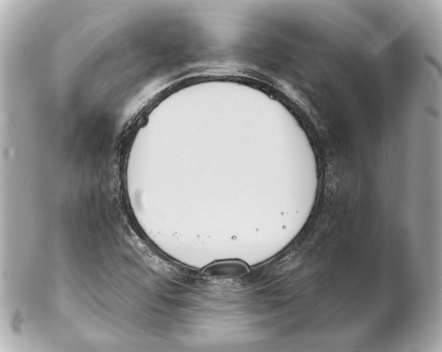 X0000102031456200808151329