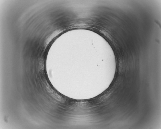 X0000102031458200808151329