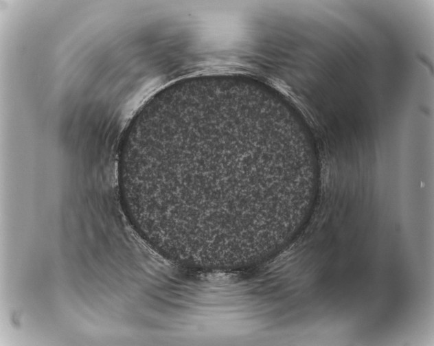 X0000102031459200808151329