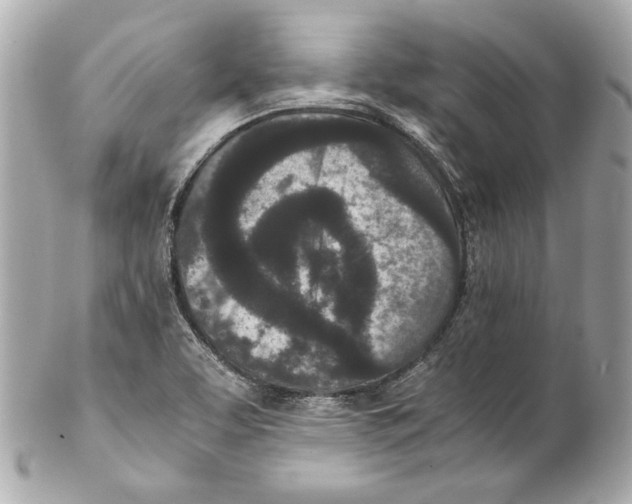 X0000102031463200808151329