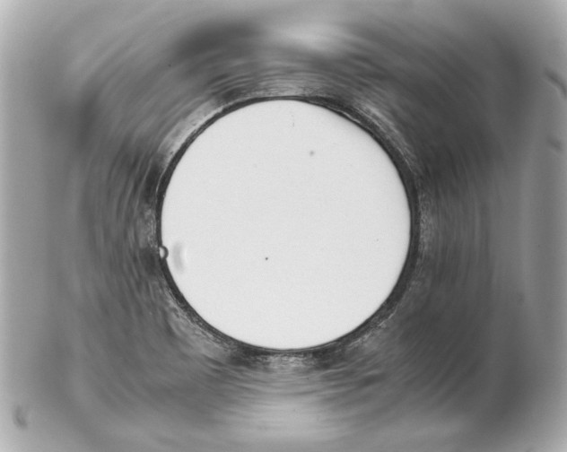 X0000102031465200808151329