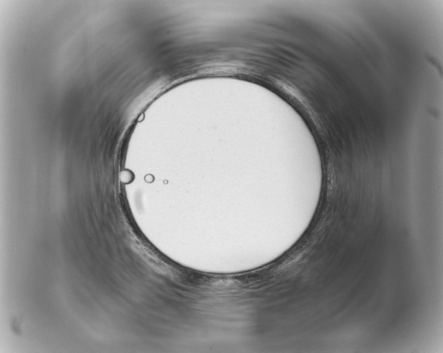 X0000102031467200808151329