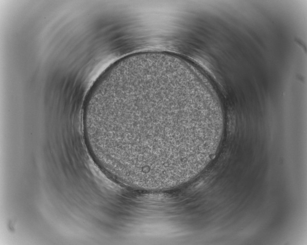 X0000102031468200808151329