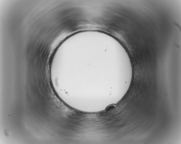 X0000102031472200808151329