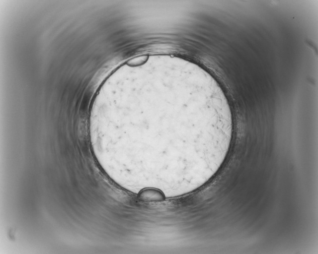 X0000102031473200808151329