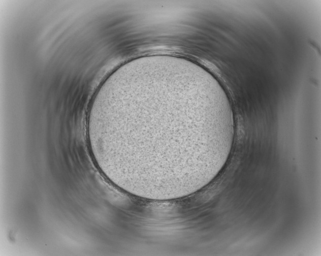 X0000102031474200808151329