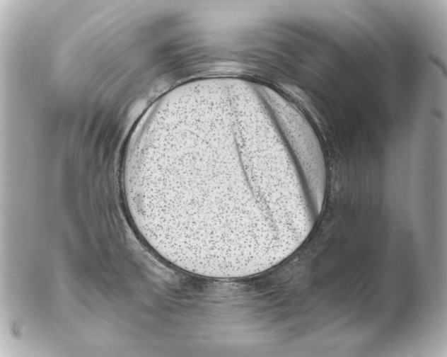 X0000102031475200808151329