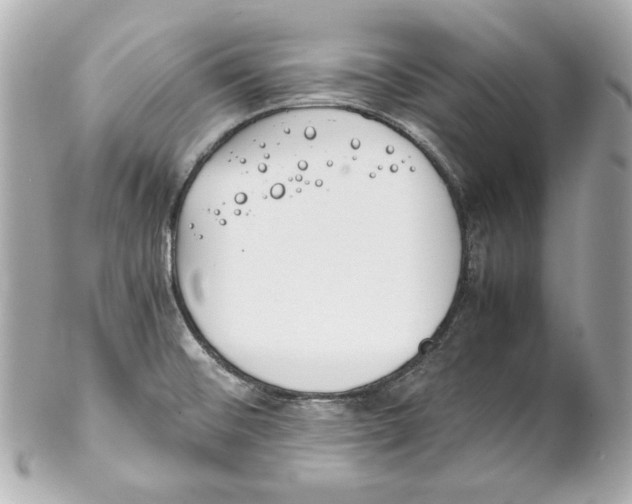 X0000102031476200808151329