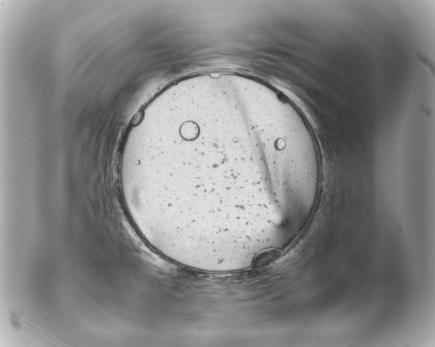 X0000102031477200808151329