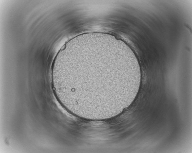 X0000102031479200808151328