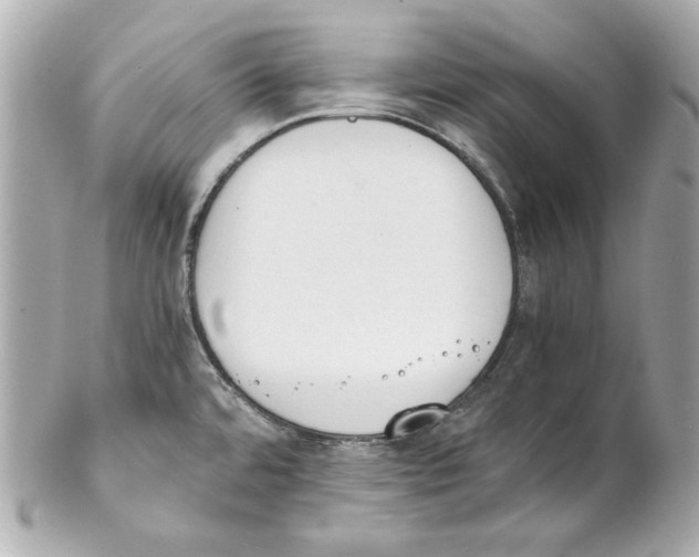 X0000102031480200808151328