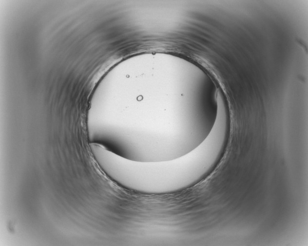 X0000102031481200808151328