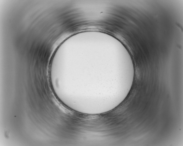 X0000102031482200808151328