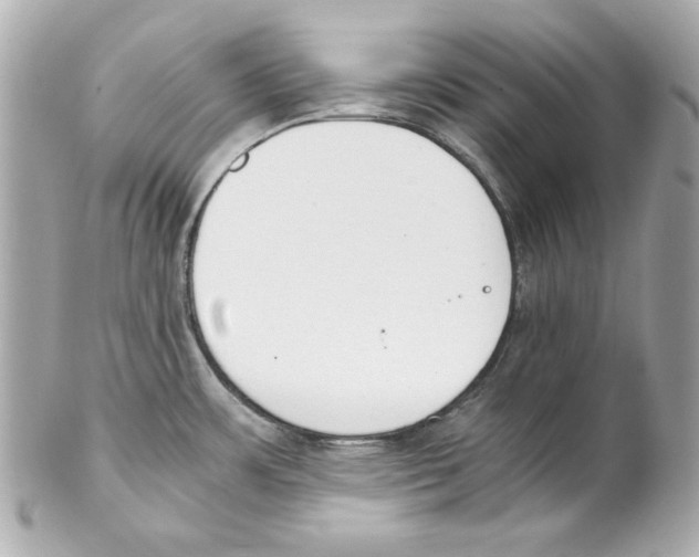 X0000102031483200808151328