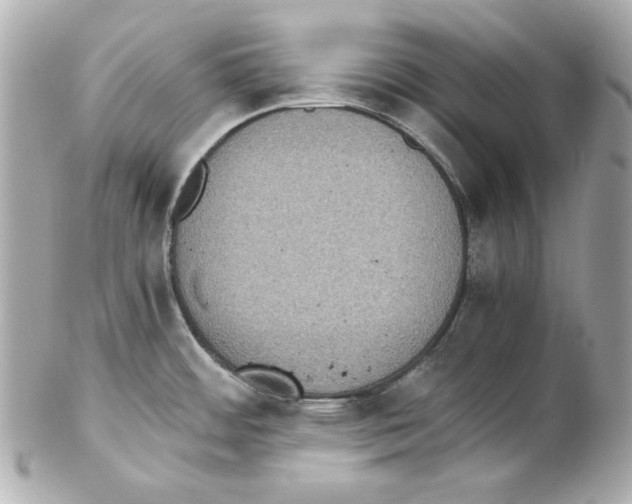 X0000102031484200808151328